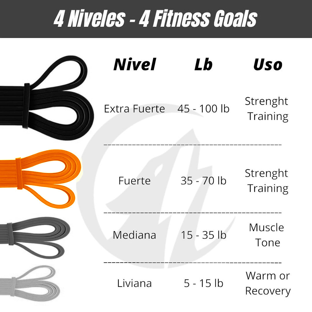 WARGO POWER BANDS X 1 - 100 LB