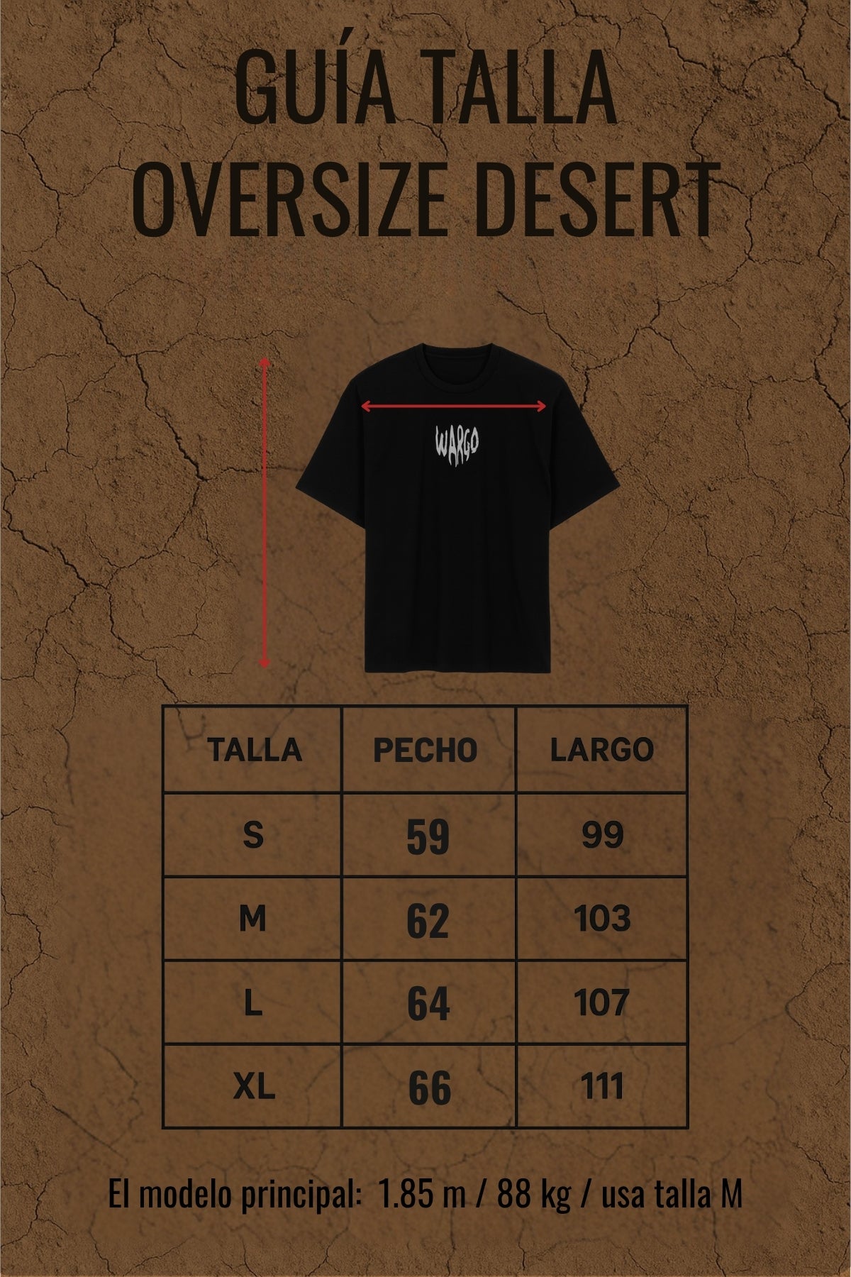 CAMISETA OVERSIZE DESERT - GRIS